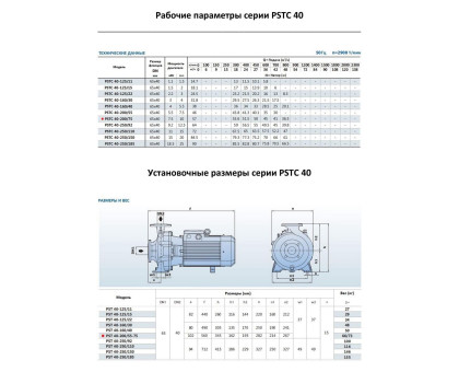 Насосный агрегат моноблочный фланцевый PURITY PSTC 40-200/75