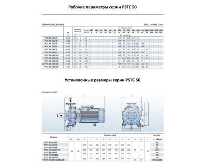 Насосный агрегат моноблочный фланцевый PURITY PSTC 50-250/185