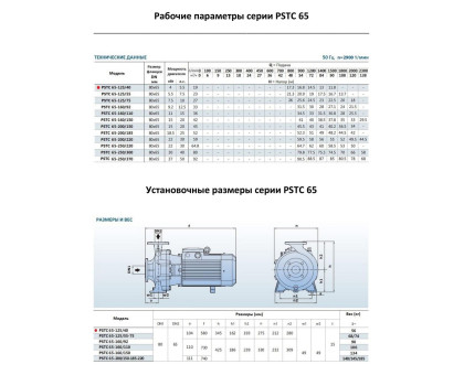 Насосный агрегат моноблочный фланцевый PURITY PSTC 65-125/40