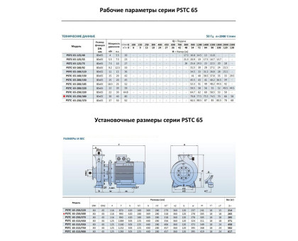 Насосный агрегат моноблочный фланцевый PURITY PSTC 65-250/300