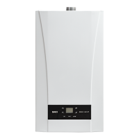 Газовый котёл Baxi ECO Nova 31 F